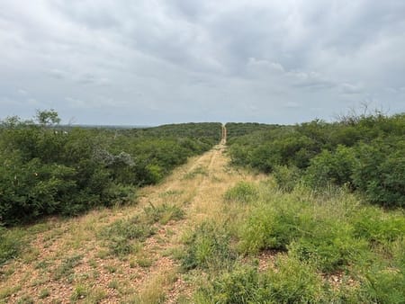 Moore, TX 78016 Medina County
