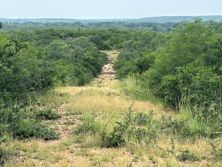 Moore, TX 78016 Medina County
