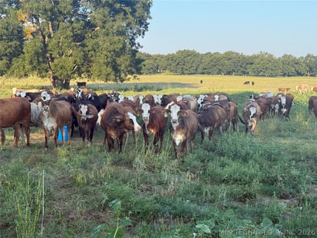 Paoli, OK 73074 Garvin County