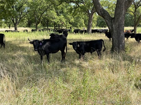 Paoli, OK 73074 Garvin County
