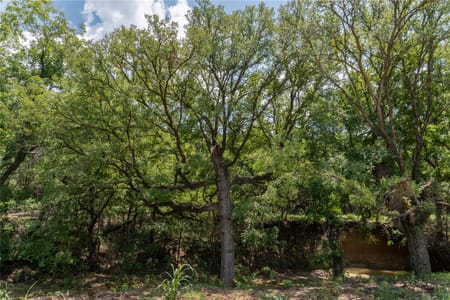 Tolar, TX 76476 Hood County