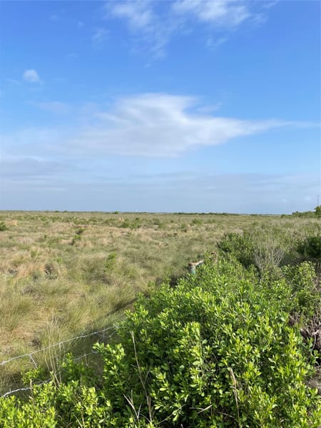 Hitchcock, TX 77563 Galveston County