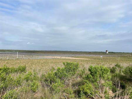 Hitchcock, TX 77563 Galveston County