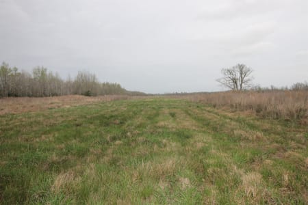Liberty, TX 77575 Liberty County