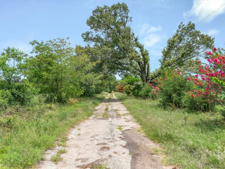 Edgewood, TX 75117 Van Zandt County