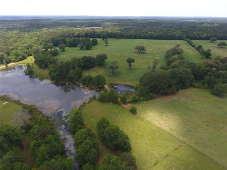 Palestine, TX 75803 Anderson County