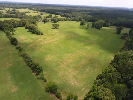 Palestine, TX 75803 Anderson County
