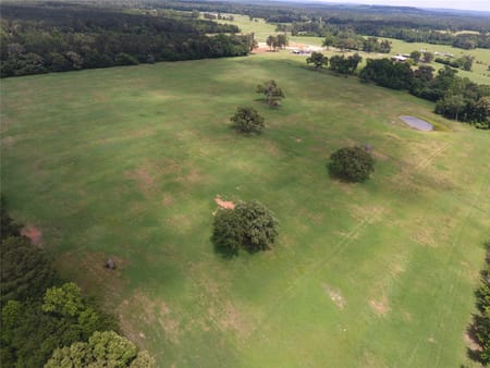 Palestine, TX 75803 Anderson County