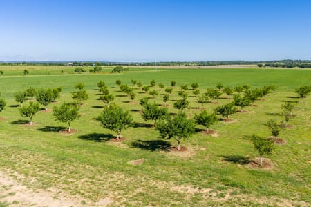 Fredericksburg, TX 78624 Gillespie County