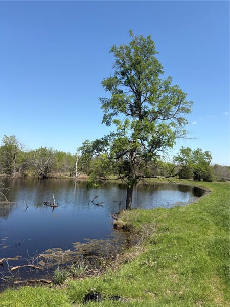 Sulphur Springs, TX 75482 Hopkins County