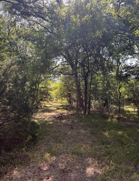 Sulphur Springs, TX 75482 Hopkins County