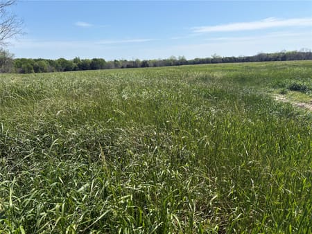 Sulphur Springs, TX 75482 Hopkins County