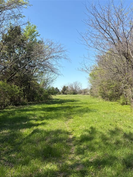 Sulphur Springs, TX 75482 Hopkins County