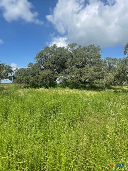 Refugio, TX 78377 Refugio County