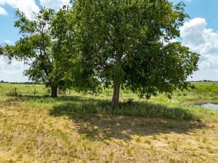 Temple, TX 76501 Bell County