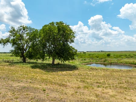 Temple, TX 76501 Bell County