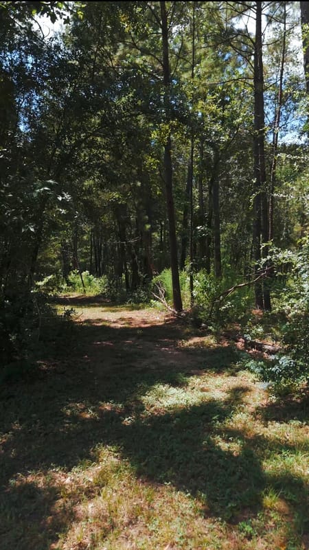 Tomball, TX 77375 Harris County