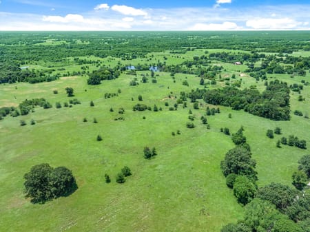 Edgewood, TX 75117 Van Zandt County