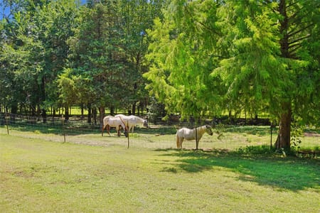 Sadler, TX 76264 Grayson County