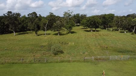West Columbia, TX 77486 Brazoria County