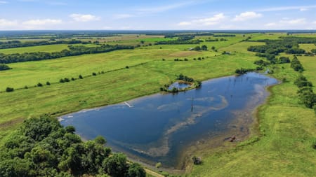 Ector, TX 75439 Fannin County