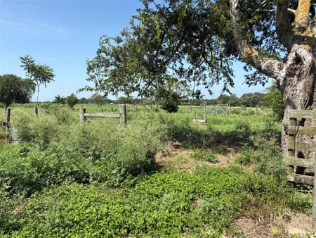 Weimar, TX 78956 Colorado County