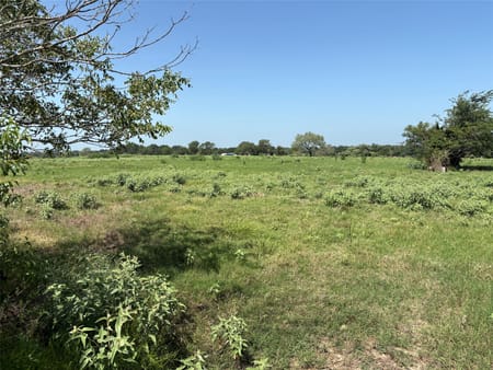Weimar, TX 78956 Colorado County