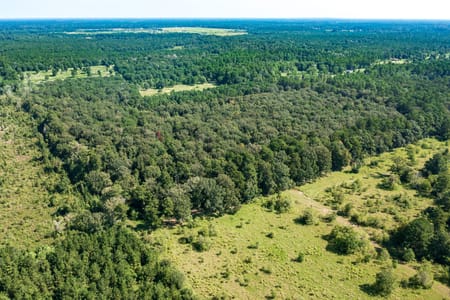 Dayton, TX 77535 Liberty County