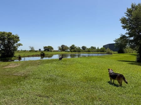 Dayton, TX 77535 Liberty County