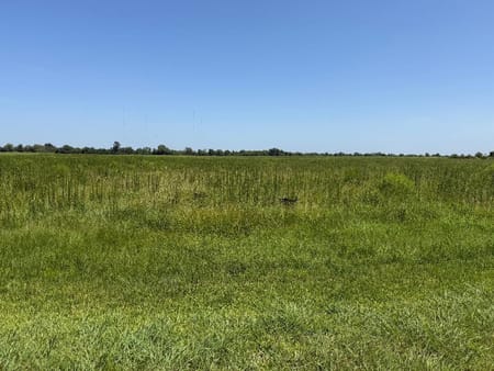 Dayton, TX 77535 Liberty County