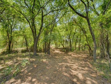 Bowie, TX 76230 Montague County