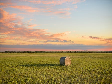 Clifton, TX 76634 Bosque County
