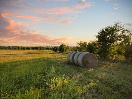 Clifton, TX 76634 Bosque County