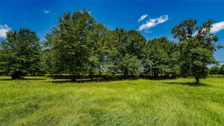 Gause, TX 77857 Milam County