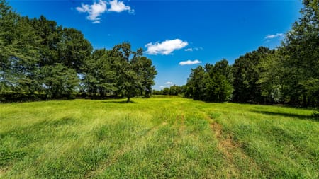 Gause, TX 77857 Milam County