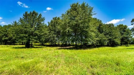Gause, TX 77857 Milam County