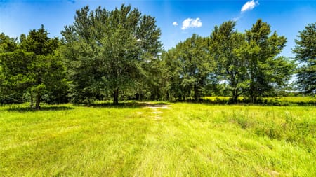 Gause, TX 77857 Milam County