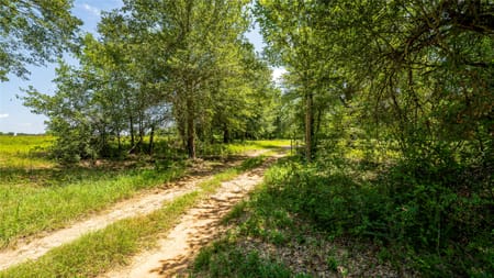 Gause, TX 77857 Milam County