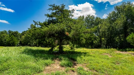 Gause, TX 77857 Milam County