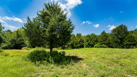 Gause, TX 77857 Milam County