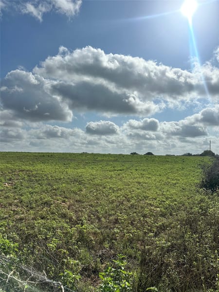 Hallettsville, TX 77964 Lavaca County