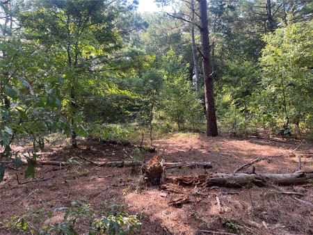 Jacksonville, TX 75766 Cherokee County
