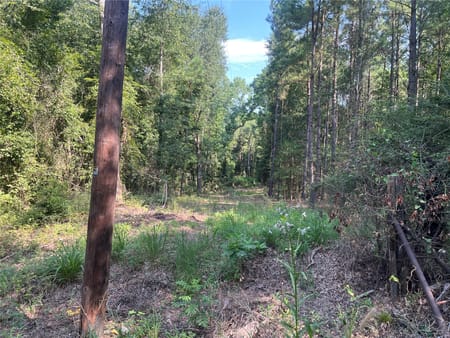 Jacksonville, TX 75766 Cherokee County