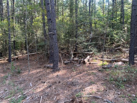 Jacksonville, TX 75766 Cherokee County
