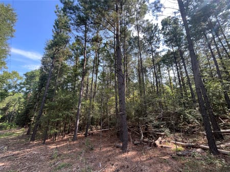 Jacksonville, TX 75766 Cherokee County