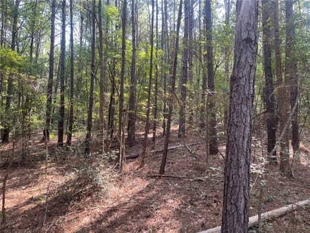 Jacksonville, TX 75766 Cherokee County