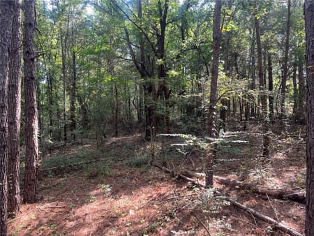 Jacksonville, TX 75766 Cherokee County