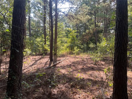 Jacksonville, TX 75766 Cherokee County