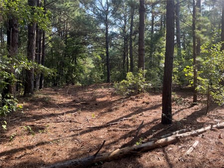 Jacksonville, TX 75766 Cherokee County