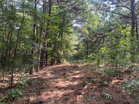 Jacksonville, TX 75766 Cherokee County